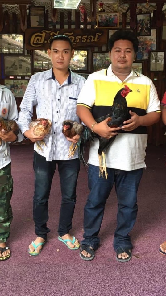 ซุ้มหมอยาไก่ชน