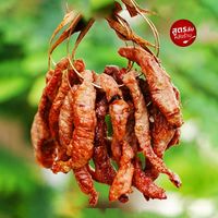 🐷 พรสวรรค์ ● หมูพวง 🥓 หน้าวัดเขาพระงาม