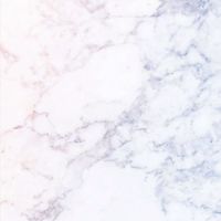 Mypeti貓貓狗狗主食飼料罐頭貓砂玩具寵物用品優惠資訊