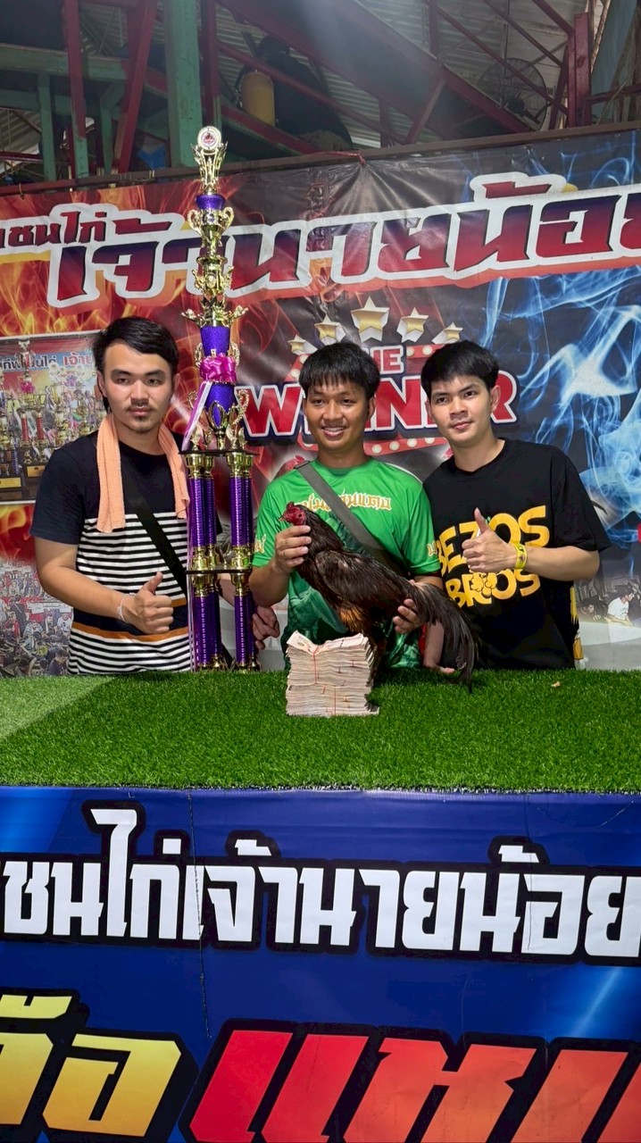 PKK เด็กเลี้ยงไก่🐣