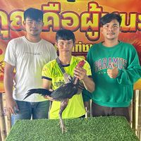 ธนวิน ฟาร์ม