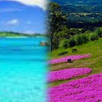 ぬくもりの内側🌈風が通り抜ける道✨✨