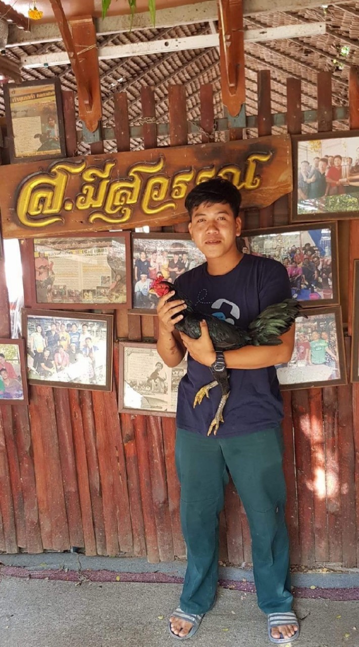 ไนท์ กระทิงซิ่ง นนทบุรี พัฒนาพม่าสายเลือด ส.มีสุวรรณ❣️❣️
