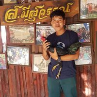 ไนท์ กระทิงซิ่ง นนทบุรี พัฒนาพม่าสายเลือด ส.มีสุวรรณ❣️❣️