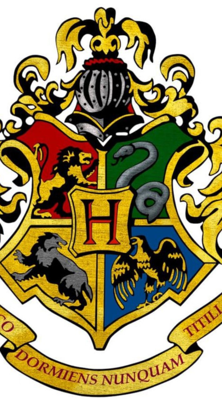 Hogwarts School
