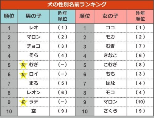 犬の名前ランキング21 2位は昨年1位の ココ 大躍進の1位は