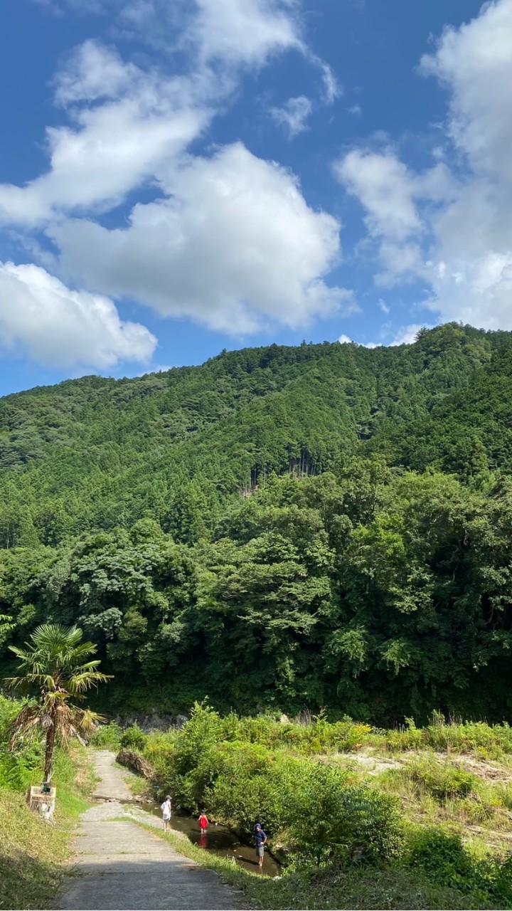 三重県自由部屋