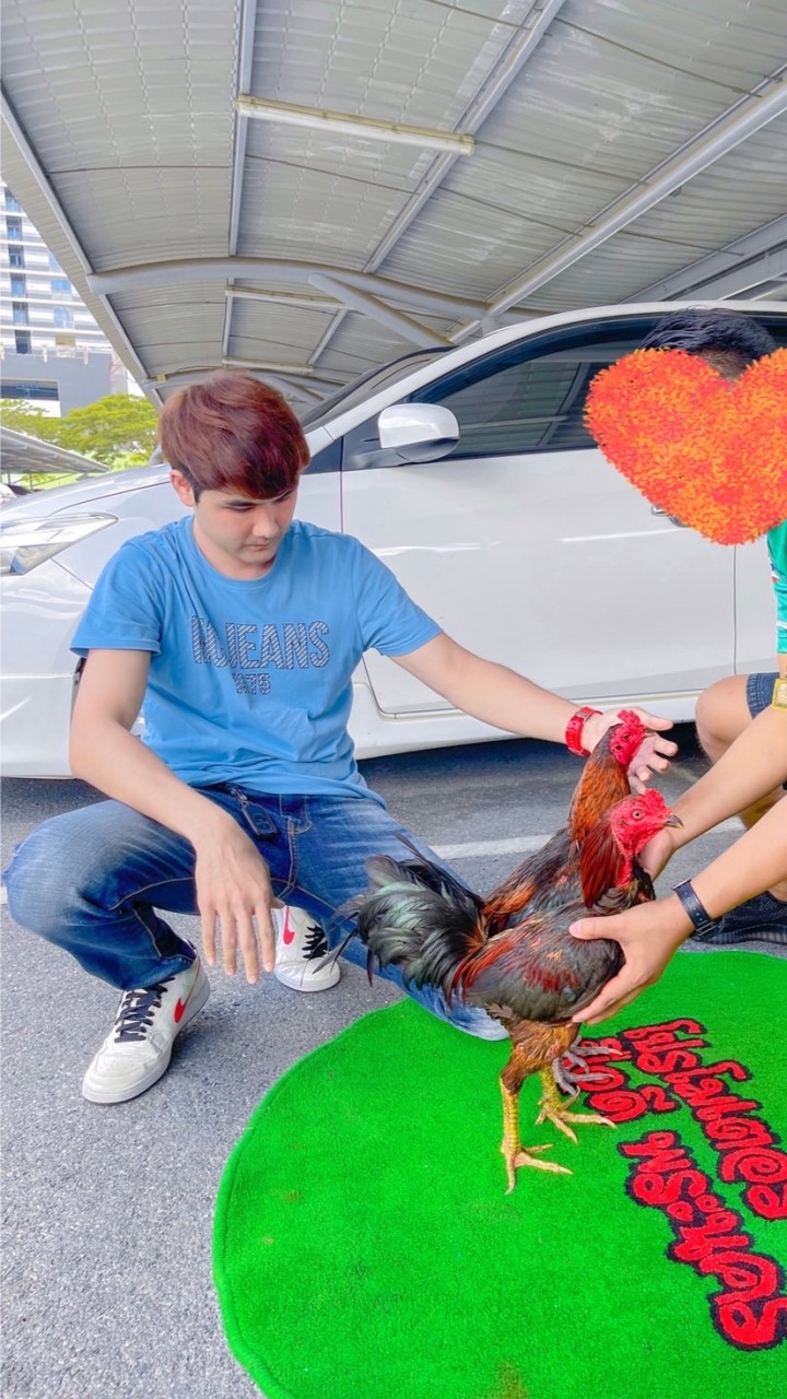 คนรัก ส.เพชรสาคร