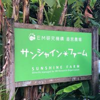 セカイムラ畑活