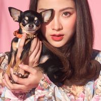 ทาสแมว ทาสหมา ชุดเก็บขนร่วง By Ureka