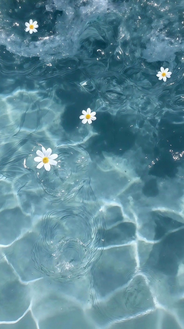 13🍒10/27-10/31🇰🇷連線代購✈️