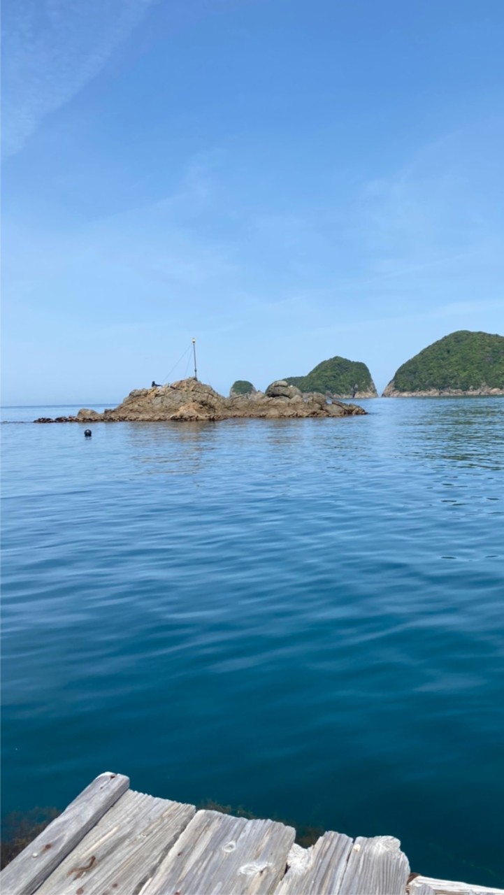 ‪🎣‬釣り好きの集い🐟