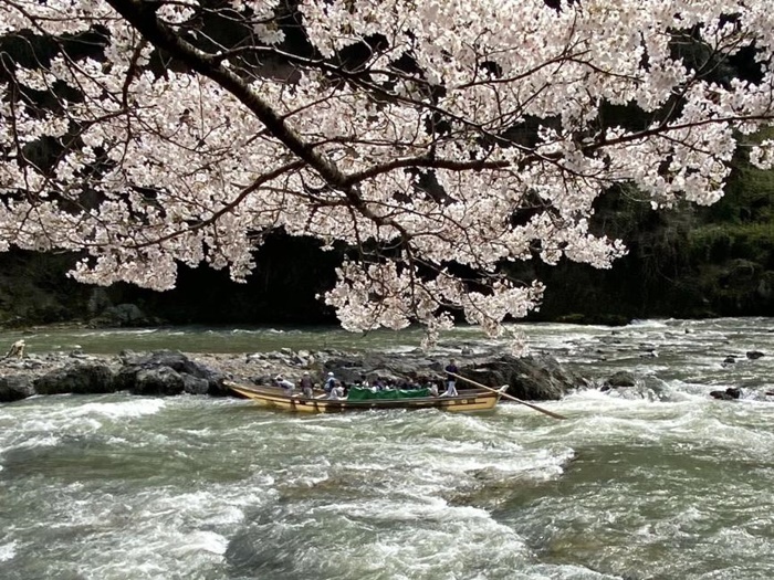 京都嵐山・保津川遊船體驗