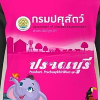สำนักงานปศุสัตว์อำเภอปราณบุรี