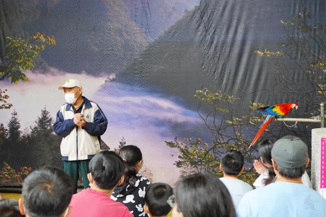 中部景點,南投景點,南投親子景點,國立自然科學博物館鳳凰谷鳥園生態園區,鳳凰谷鳥園,鳳凰谷鳥園生態園區