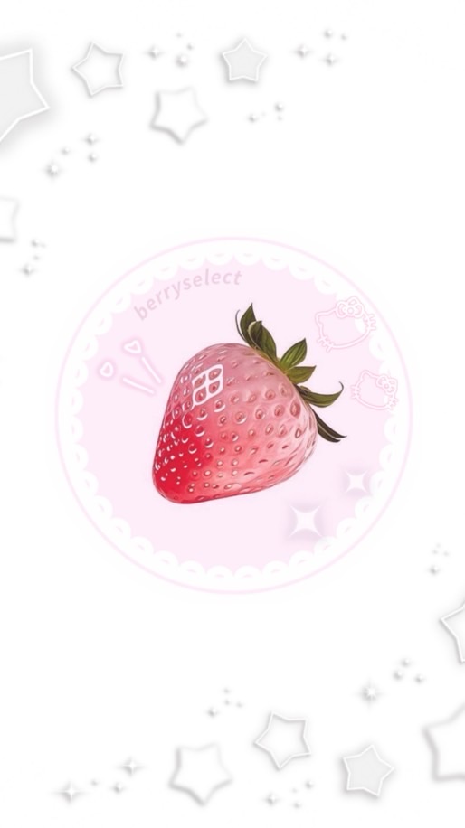 berryselect🇯🇵動漫代購