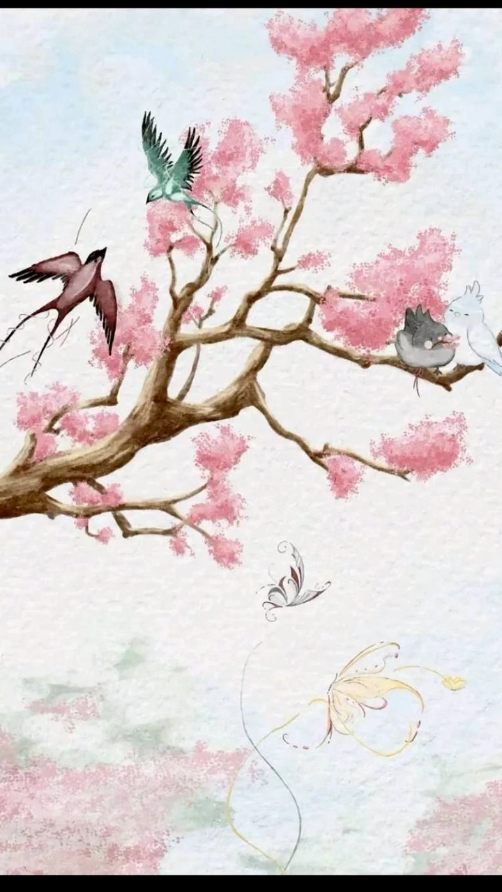 Gong.liyi 原耽代購