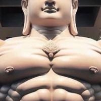 天天止盈