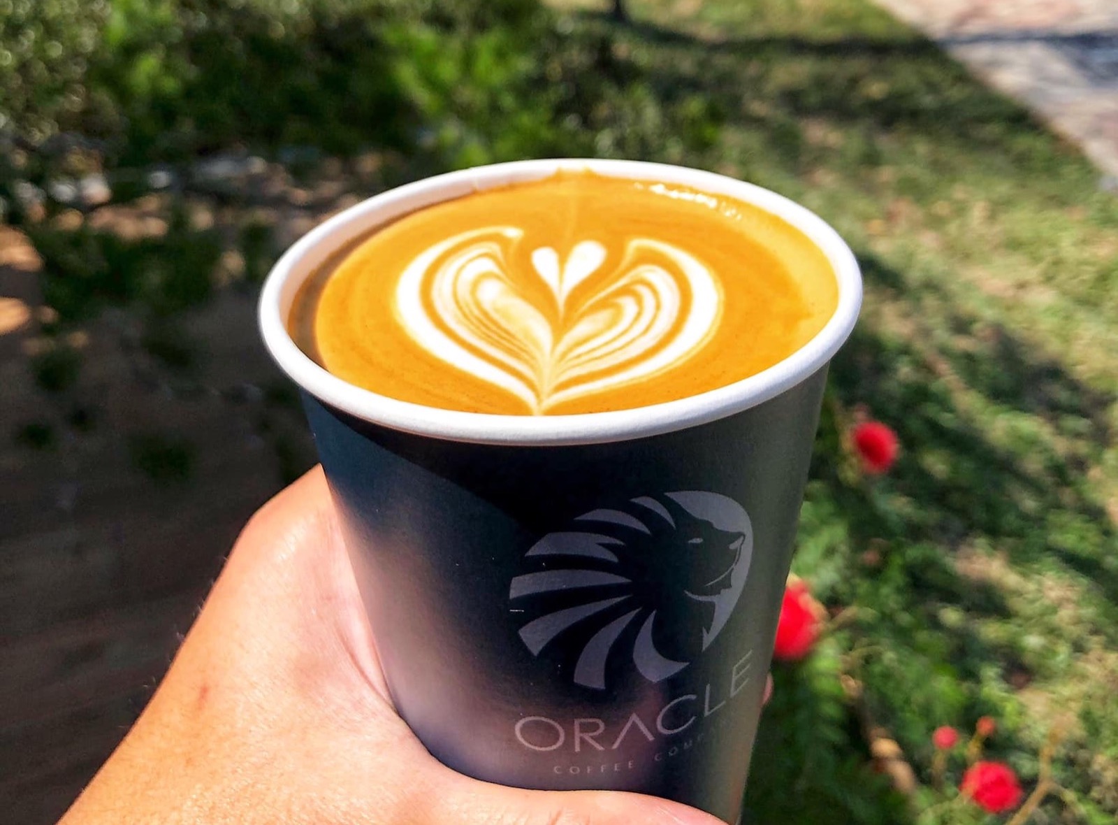 Oracle Coffee 神諭咖啡-台中大城店