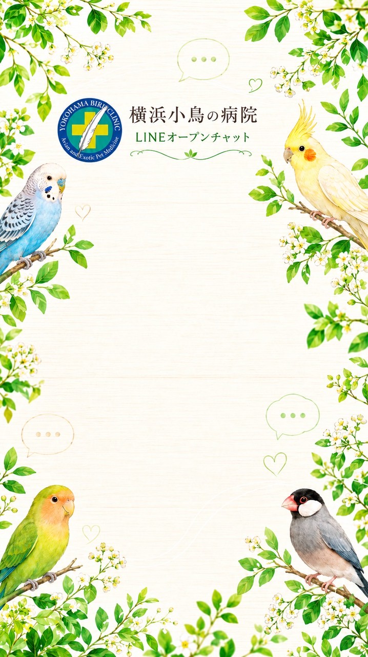 鳥の飼い主さんの交流広場
