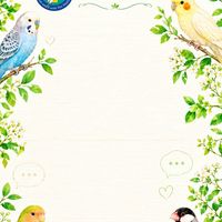 鳥の飼い主さんの交流広場