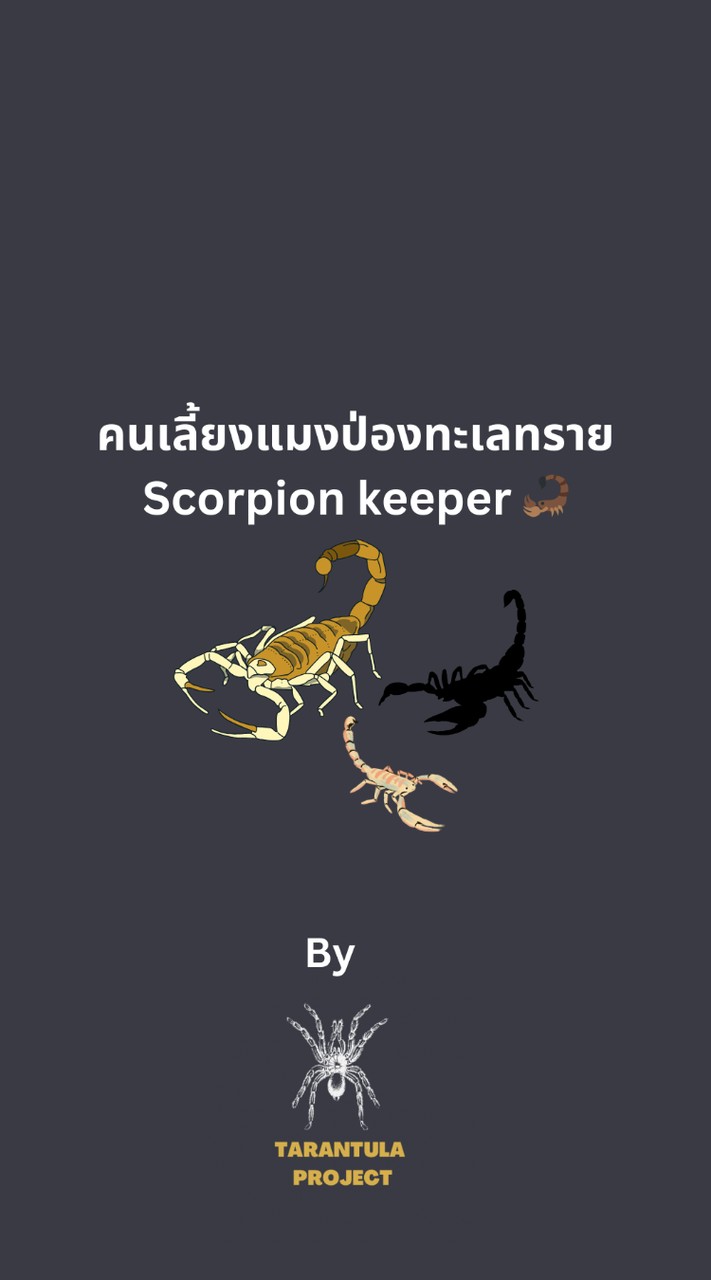 คนเลี้ยงแมงป่องทะเลทราย Scorpion keeper 🦂