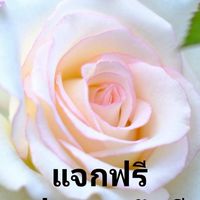 แจกฟรีรูปภาพสวัสดีทุกวัน