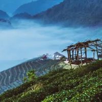Plantravel Peltravlan เชียงใหม่