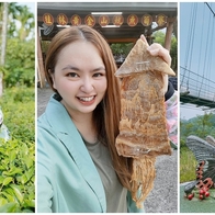 【雲林 旅遊】雲林古坑鄉 桂林阿安師茗茶 一日茶農體驗 品茶香┃黃金山魷魚筍寮 美食版魷魚遊戲 嘗竹筍大餐 竹編青蛙DIY 咖啡烘焙DIY