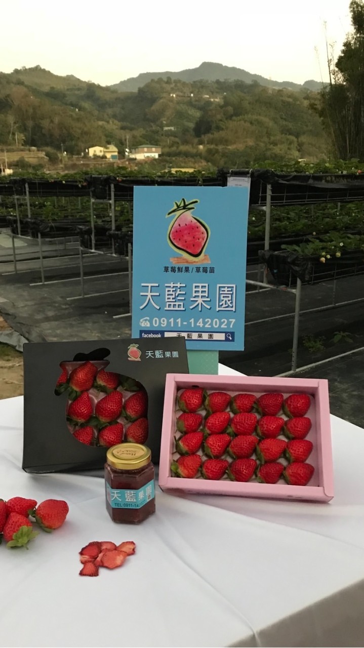 天藍果園