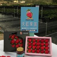 天藍果園