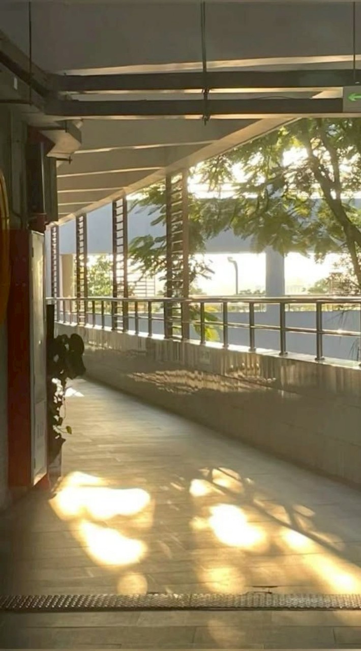 【 โรงเรียนฟอร์เซเคน || Forsaken School || 】 “ RP ”