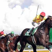 ロジック競馬無料予想配信チーム