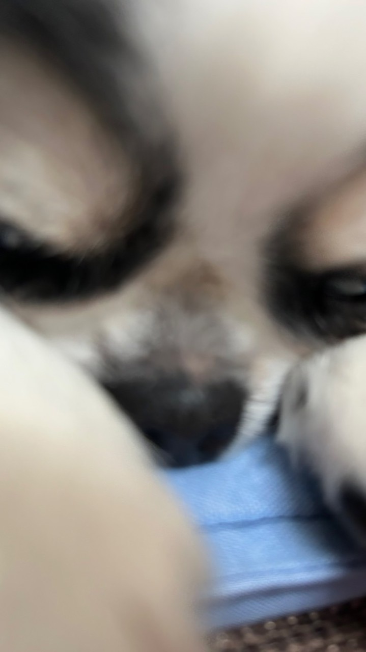 テラビットやってる人集合なのだ！