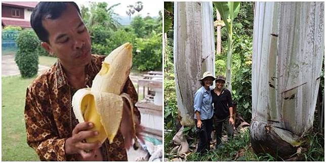 Download 99+ Gambar Durian Raksasa Terbaik 