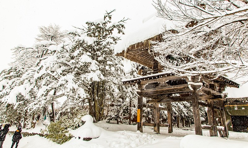 20160120-20160120-IMG_9688