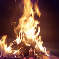キャンプと車中泊好きの部屋⛺🔥🚙