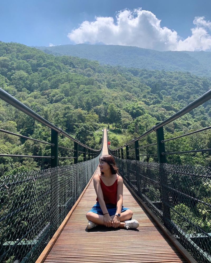 花蓮景點｜富源森林遊樂區｜龍吟吊橋｜親子景點｜花蓮走春景點