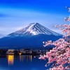 静岡雑談✿·͜·ᰔ笑ってわいわい 楽しみ隊♬
