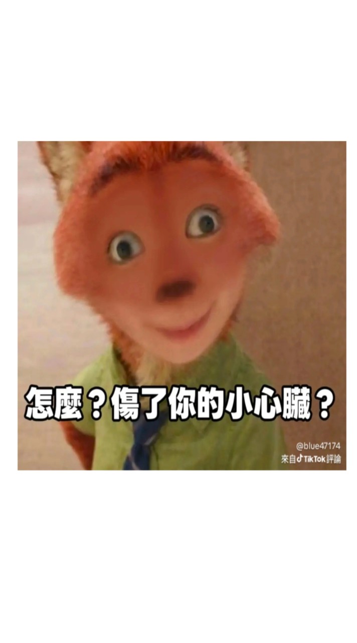 503班群