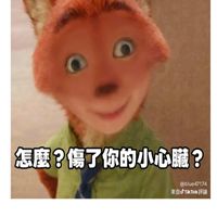 503班群