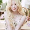 🌟貓貓のK-pop聊天之窩🌟