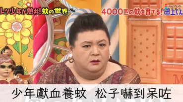 17歲少年為妹妹研究防蚊攻略