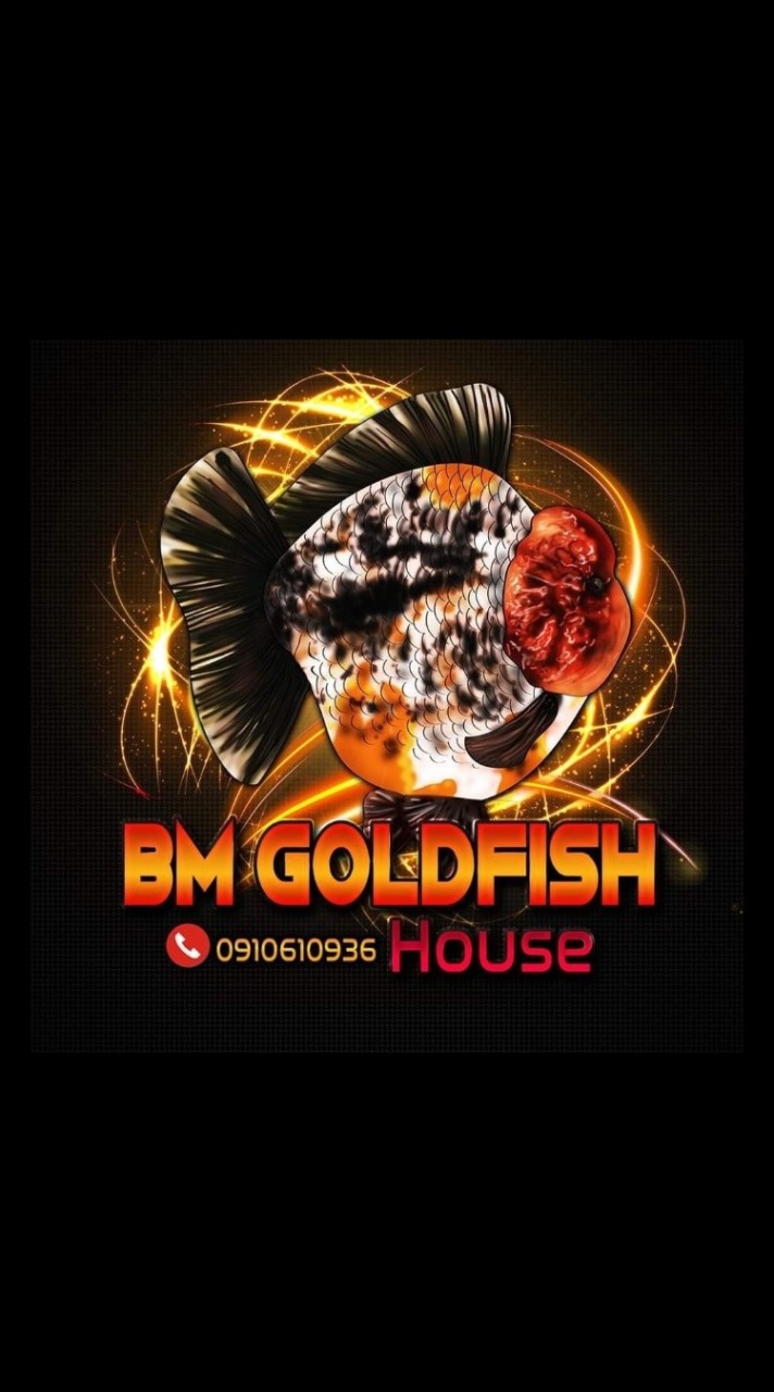 BM Goldfish House