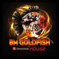 BM Goldfish House