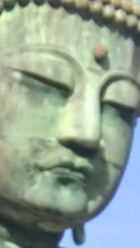 睡眠のプロ〜大仏を見習え！〜