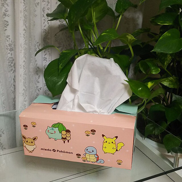 正規品スーパーSALE×店内全品キャンペーン ティッシュペーパーの空箱 空き箱