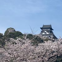 第２期シェア実践講座メンバーチャット