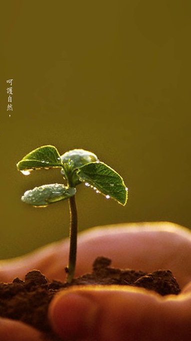 心亘健康管理諮詢