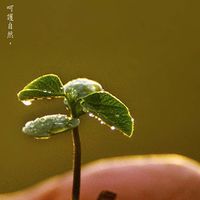 心亘健康管理諮詢